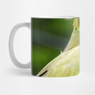 Princess Parrot Mug